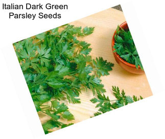 Italian Dark Green Parsley Seeds