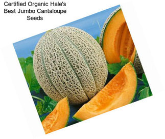 Certified Organic Hale\'s Best Jumbo Cantaloupe Seeds