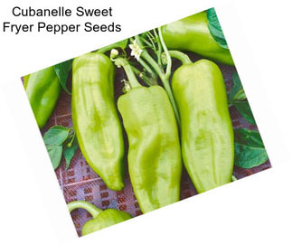 Cubanelle Sweet Fryer Pepper Seeds