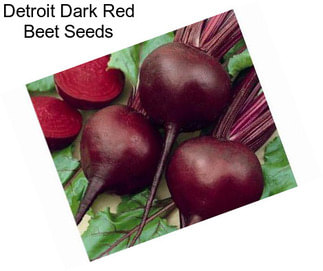 Detroit Dark Red Beet Seeds