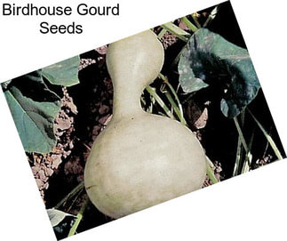 Birdhouse Gourd Seeds