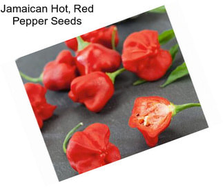 Jamaican Hot, Red Pepper Seeds