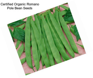Certified Organic Romano Pole Bean Seeds