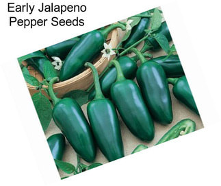 Early Jalapeno Pepper Seeds