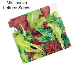 Misticanza Lettuce Seeds