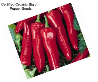 Certified Organic Big Jim Pepper Seeds