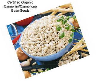 Certified Organic Cannellini/Cannellone Bean Seeds
