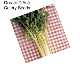 Dorato D\'Asti Celery Seeds