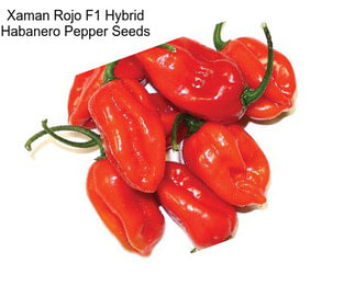 Xaman Rojo F1 Hybrid Habanero Pepper Seeds