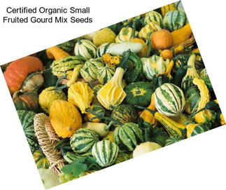 Certified Organic Small Fruited Gourd Mix Seeds