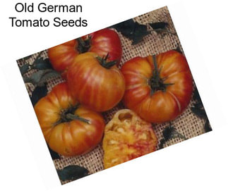Old German Tomato Seeds