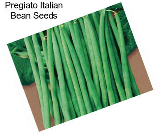 Pregiato Italian Bean Seeds