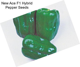 New Ace F1 Hybrid Pepper Seeds