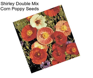 Shirley Double Mix Corn Poppy Seeds