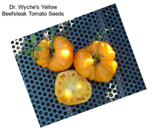 Dr. Wyche\'s Yellow Beefsteak Tomato Seeds