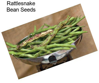 Rattlesnake Bean Seeds
