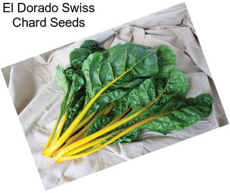 El Dorado Swiss Chard Seeds
