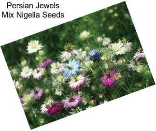 Persian Jewels Mix Nigella Seeds