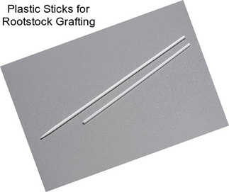 Plastic Sticks for Rootstock Grafting