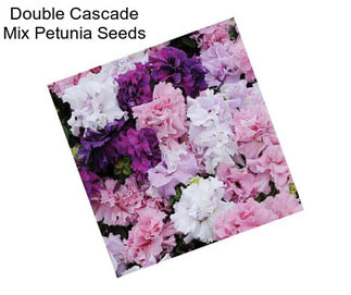 Double Cascade Mix Petunia Seeds