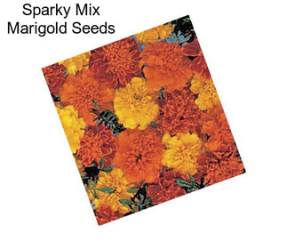 Sparky Mix Marigold Seeds