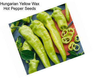 Hungarian Yellow Wax Hot Pepper Seeds