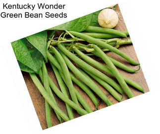 Kentucky Wonder Green Bean Seeds