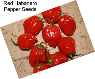 Red Habanero Pepper Seeds