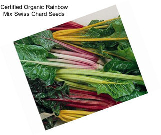 Certified Organic Rainbow Mix Swiss Chard Seeds