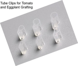 Tube Clips for Tomato and Eggplant Grafting