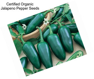 Certified Organic Jalapeno Pepper Seeds
