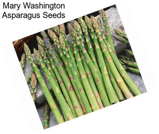 Mary Washington Asparagus Seeds