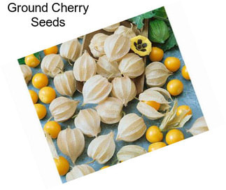 Ground Cherry Seeds