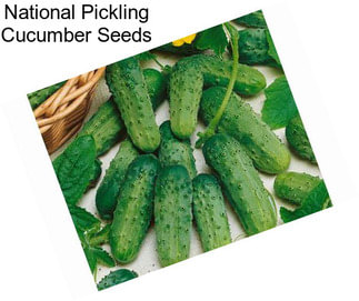 National Pickling Cucumber Seeds