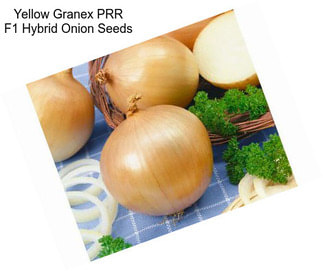 Yellow Granex PRR F1 Hybrid Onion Seeds