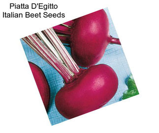 Piatta D\'Egitto Italian Beet Seeds