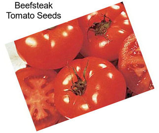 Beefsteak Tomato Seeds