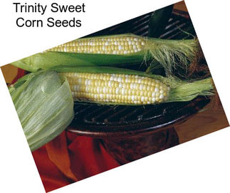 Trinity Sweet Corn Seeds