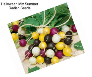 Halloween Mix Summer Radish Seeds