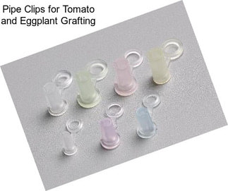Pipe Clips for Tomato and Eggplant Grafting