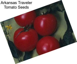 Arkansas Traveler Tomato Seeds