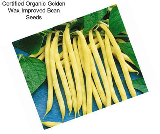 Certified Organic Golden Wax Improved Bean Seeds