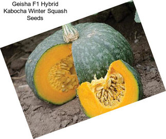 Geisha F1 Hybrid Kabocha Winter Squash Seeds