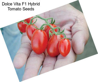 Dolce Vita F1 Hybrid Tomato Seeds