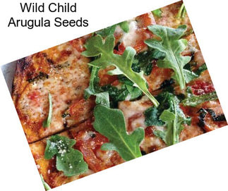 Wild Child Arugula Seeds