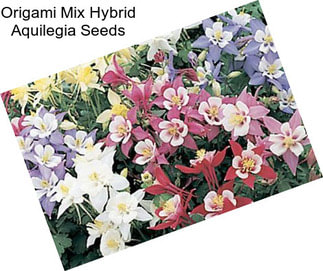 Origami Mix Hybrid Aquilegia Seeds
