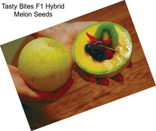 Tasty Bites F1 Hybrid Melon Seeds