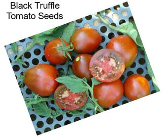 Black Truffle Tomato Seeds