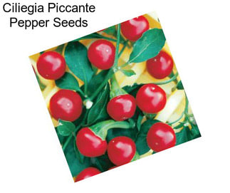 Ciliegia Piccante Pepper Seeds