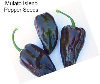 Mulato Isleno Pepper Seeds